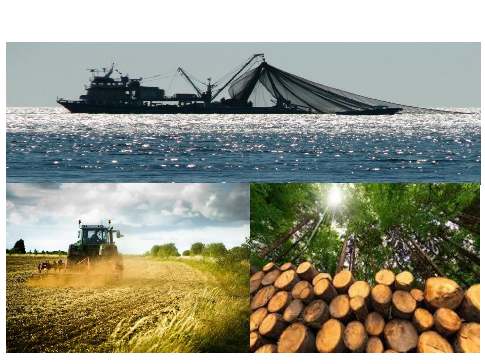 CORSO RSPP: MODULO B - SP1